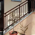 Katerina's
