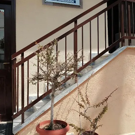 Katerina's